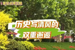 历史与清风的双重邂逅